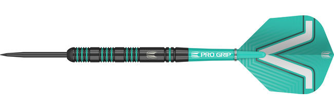 Gratis Flights und 1 Set Target Pro Grip Shaft Target Steel Darts Rob Cross Pixel Black 90/% Tungsten 2019 Steeltip Darts Steeldart