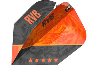 Raymond Van Barneveld Gen 4 No.6 Flight